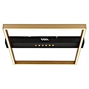 Globo LED-Deckenleuchte Luffy (24 W, Schwarz/Gold, Warmweiß, L x B x H: 43 x 39,2 x 6,9 cm) | BAUHAUS