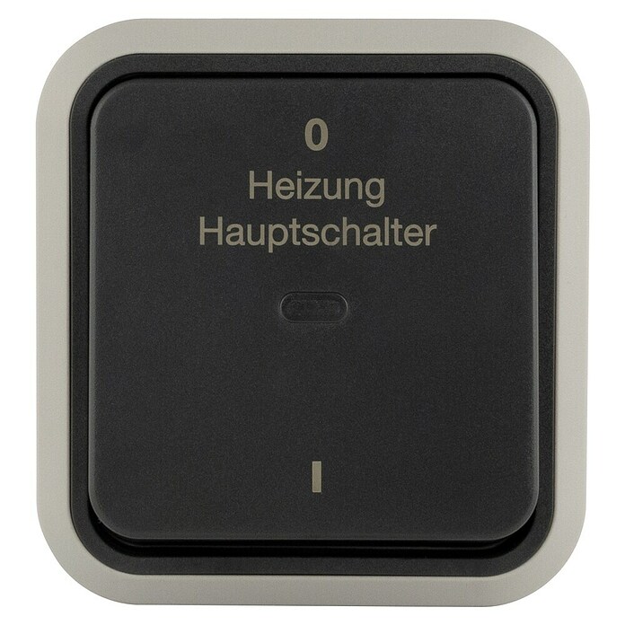 Hamburg Heizungsschalter (Grau/Anthrazit, Matt, Kunststoff, Aufputzmontage, IP55) | BAUHAUS