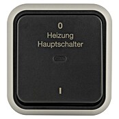 Hamburg Heizungsschalter (Grau/Anthrazit, Matt, Kunststoff, Aufputzmontage, IP55) | BAUHAUS