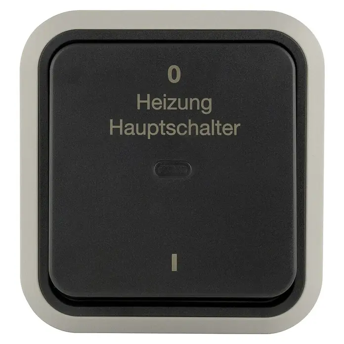 Hamburg Heizungsschalter - Grau/Anthrazit, Matt, Kunststoff, Aufputzmontage, IP55 - Ein quadratischer Heizungshauptschalter mit den Stellungen 0 und I, umgeben von einem grauen Rahmen, bietet eine klare und einfache Bedienung.