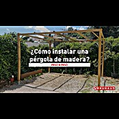 Pérgola Eco (L x An x Al: 300 x 300 x 250 cm, Natural) | BAUHAUS