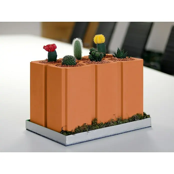 Weinregal - 36,5 x 24 x 24,9 cm, Anzahl Flaschen: 6 Stk., Ton - Kaktusarrangement in einem orangefarbenen Pflanzgefäß auf einem silbernen Tablett. Eine dekorative und pflegeleichte Zimmerpflanze.