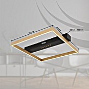 Globo LED-Deckenleuchte Luffy (24 W, Schwarz/Gold, Warmweiß, L x B x H: 43 x 39,2 x 6,9 cm) | BAUHAUS