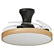 Arte confort Ventilador de techo Palma (Madera/Negro, 107 cm, 25 W, Blanco cálido) | BAUHAUS