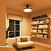 Arte confort Ventilador de techo Palma (Madera/Negro, 107 cm, 25 W, Blanco cálido) | BAUHAUS