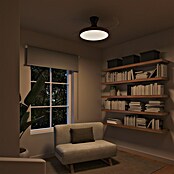 Arte confort Ventilador de techo Palma (Madera/Negro, 107 cm, 25 W, Blanco cálido) | BAUHAUS