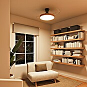 Arte confort Ventilador de techo Palma (Madera/Negro, 107 cm, 25 W, Blanco cálido) | BAUHAUS