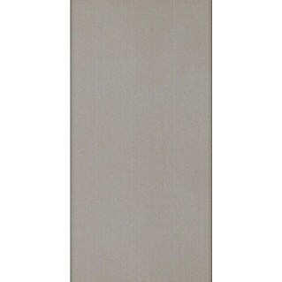 Momastela Feinsteinzeugfliese Primavera (L x B: 31 x 62 cm, Grigio, Matt)