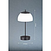 FHL easy Akku-Tischleuchte RIVA Glas (2 W, L x B x H: 18 x 18 x 35 cm, Sandschwarz/Weiß, Mehrfarbig, Glas) | BAUHAUS