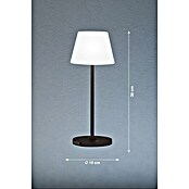 FHL easy Akku-Tischleuchte FLUS (1,5 W, L x B x H: 15 x 15 x 38 cm, Schwarz, Warmweiß) | BAUHAUS