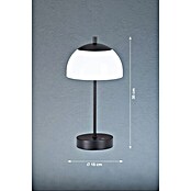 FHL easy Akku-Tischleuchte RIVA Acrylglas (2 W, L x B x H: 18 x 18 x 35 cm, Sandschwarz/Weiß, Mehrfarbig, Kunststoff) | BAUHAUS