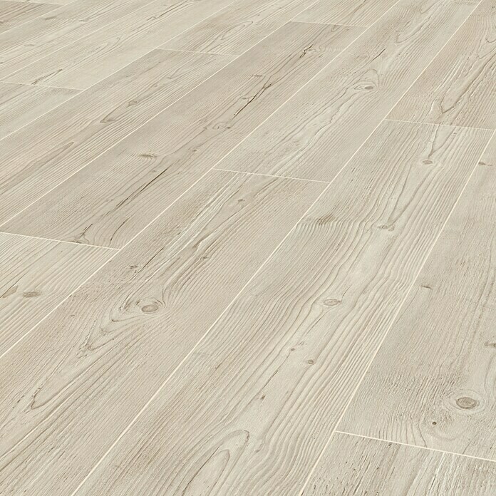 Laminat Surf Pine (1.285 x 192 x 8 mm, Landhausdiele) | BAUHAUS