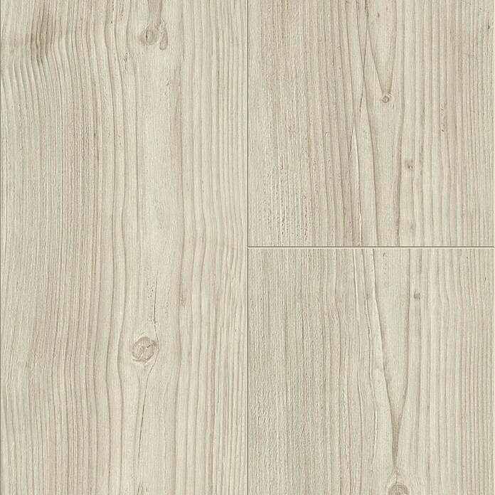 Laminat Surf Pine (1.285 x 192 x 8 mm, Landhausdiele) | BAUHAUS