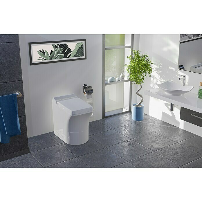 Cinderella Comfort Verbrennungs-WC (L x B x H: 59 x 39 x 60 cm, Weiß, Wasserlos) | BAUHAUS