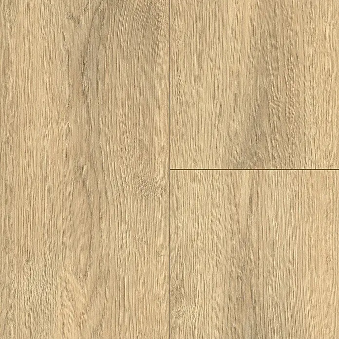 LOGOCLIC Laminat - Sierra Oak, Landhausdiele, 1.285 x 192 x 7 mm - Nahaufnahme von vier hellen, quadratischen Parkettfliesen mit sichtbarer Holzmaserung und Fugen.