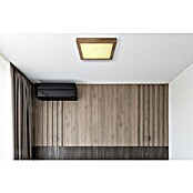 Globo LED stropna svjetiljka Xavvi  (16 W, Topla bijela, Smeđa, D x Š x V: 35 x 35 x 6 cm) | BAUHAUS