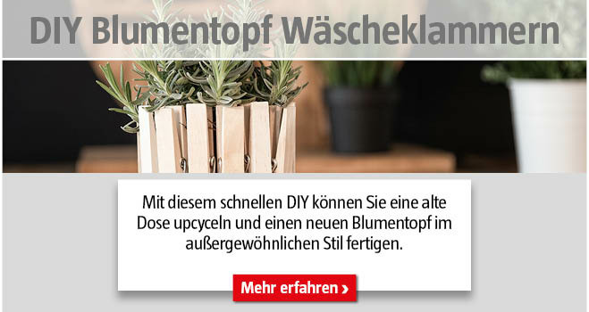 DIY Blumentopf Wäscheklammern