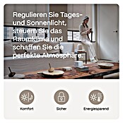 Rollo-Motor MotionBlinds CMD-02 Pull Upgrade Kit (Passend für: Rollos mit 25 -30 mm Rollowellendurchmesser) | BAUHAUS