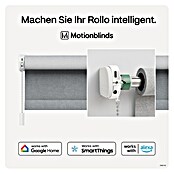 Rollo-Motor MotionBlinds CMD-02 Pull Upgrade Kit (Passend für: Rollos mit 25 -30 mm Rollowellendurchmesser) | BAUHAUS