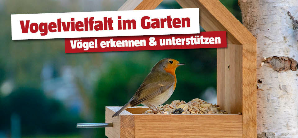 Vögel im Garten