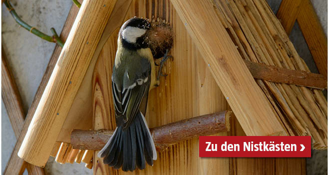 Nistkasten