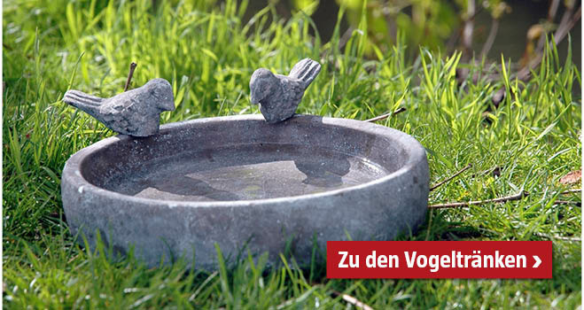 Vogeltränke