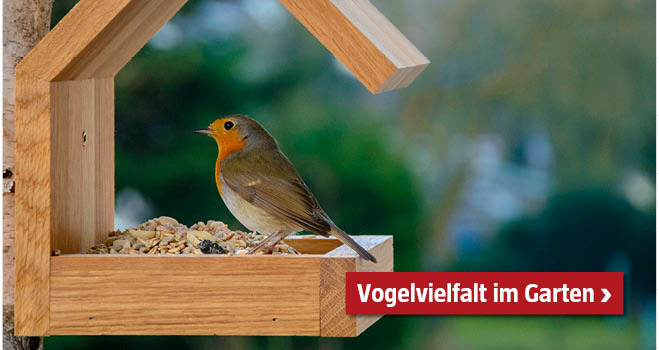 Vögel im Garten