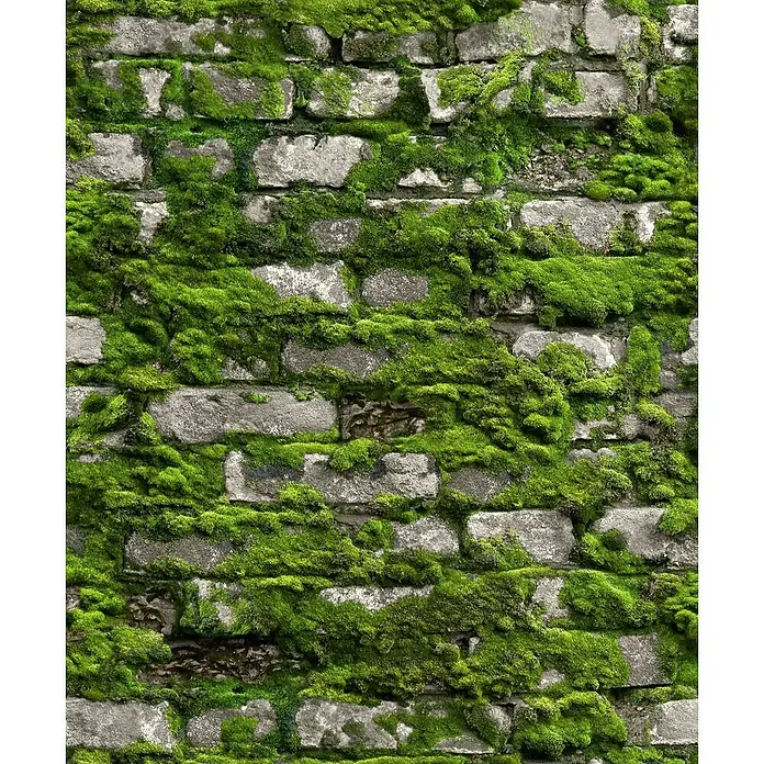 Marburg Struktura Vliestapete - Grün/Grau, Steinoptik, 10,05 x 0,53 m - Detailaufnahme einer bemoosten Backsteinmauer. Das grüne Moos verleiht der grauen Backsteinmauer eine natürliche Textur und Farbe.