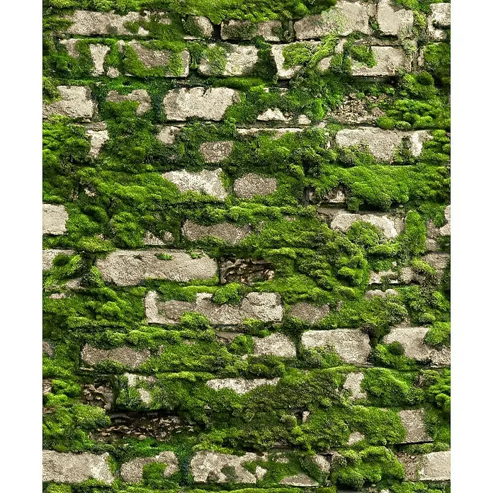 Marburg Struktura Vliestapete - Grün, Steinoptik, 10,05 x 0,53 m - Eine alte Backsteinmauer, teilweise mit üppigem, grünen Moos bewachsen, was ihr ein rustikales und natürliches Aussehen verleiht.