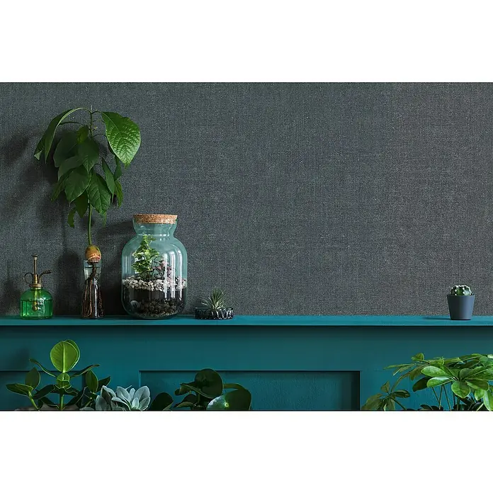 Marburg Struktura Vliestapete Struktur - Dunkelgrau, Uni, 10,05 x 0,53 m - Zimmerpflanzen und Dekorationsartikel auf einem Regal. Eine Avocado-Pflanze und ein Terrarium sind dekorative Elemente.