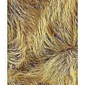 Marburg Struktura Vliestapete Dünengras (Beige/Braun, Floral, 10,05 x 0,53 m) | BAUHAUS