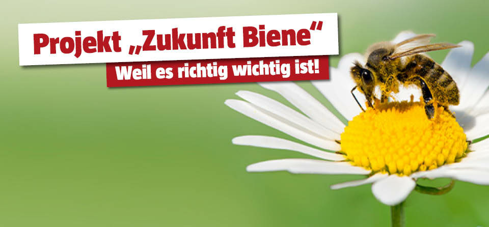 Zukunft Biene
