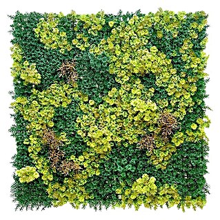 Jardín vertical Moss (Plástico, L x An: 100 x 100 cm, Apto para: Decoración)