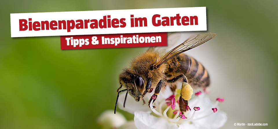 Bienenfreundlicher Garten