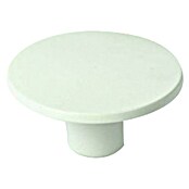 Nesu Pomo para muebles 7704 Blanco (Ø x Al: 40 x 23 mm, Plástico)