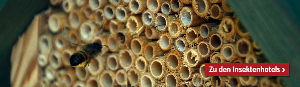 Insektenhotels