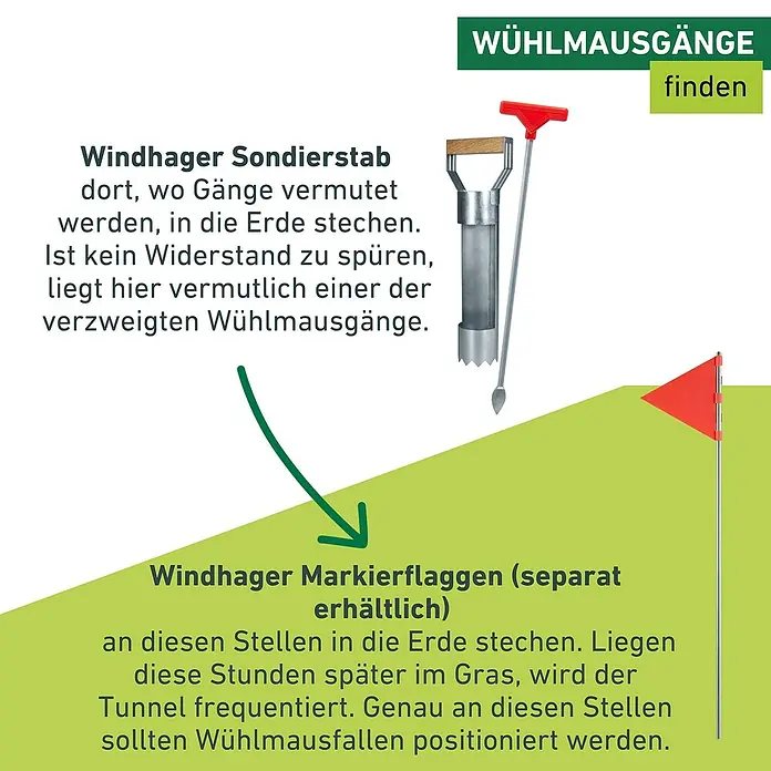 Windhager Zubehör-Set für Wühlmausfallen - 2 -tlg., Metall, Verzinkt - Illustration zur Anwendung von Windhager Produkten zur Wühlmausbekämpfung: Sondierstab und Markierflaggen.
