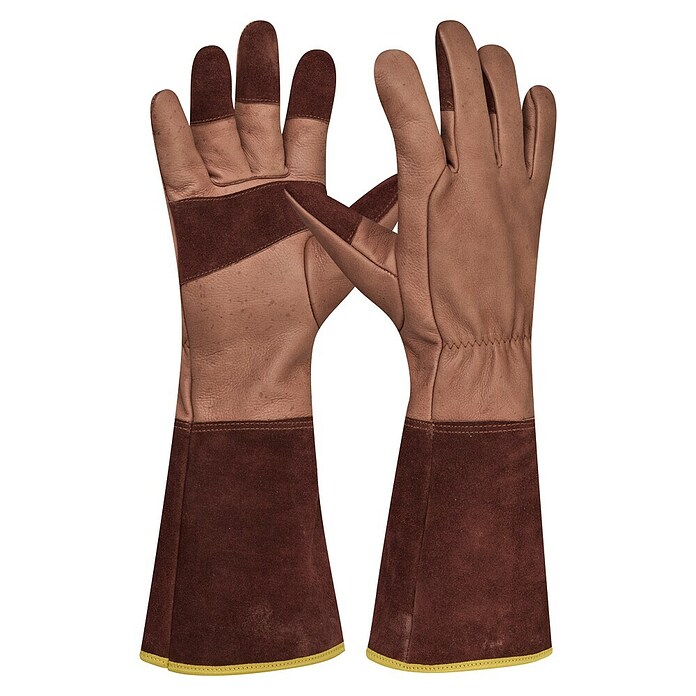 Gebol Gartenhandschuhe Ilex (10,5, Braun) | BAUHAUS