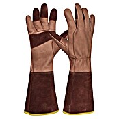 Gebol Gartenhandschuhe Ilex (10,5, Braun) | BAUHAUS