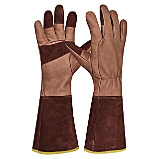 Gebol Gartenhandschuhe Ilex (10,5, Braun)