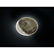 Trio Leuchten LED-Deckenleuchte rund Lunar (22 W, Grau, Ø x H: 40 x 10 cm)