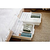 SmartStore Unterbett-Rollenbox Bedroller 60 L (L x B x H: 79 x 59 x 18,5 cm, 60 l) | BAUHAUS