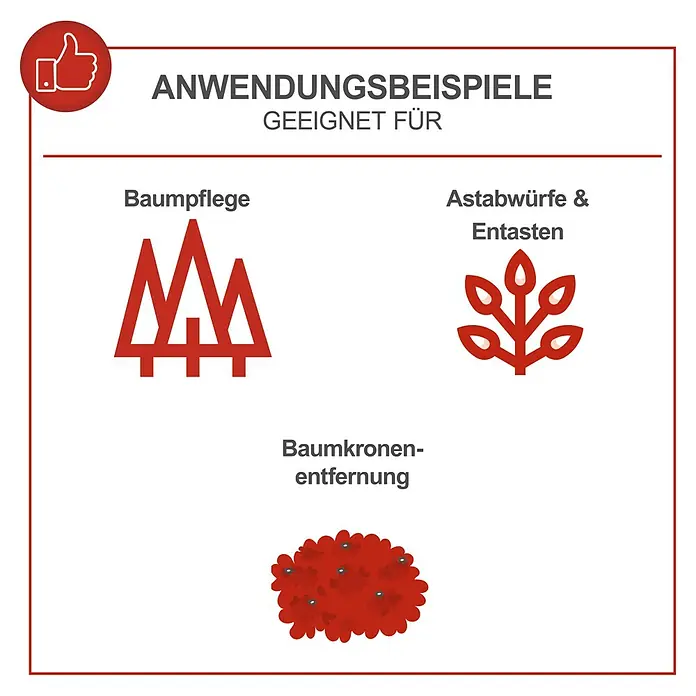 Scheppach Benzin-Kettensäge CSP2540 - 700 W, 25,4 cm³, Schwertlänge: 25 cm - Anwendungsbeispiele für Baumpflege, Astabwürfe, Entasten und Baumkronenentfernung. Geeignet für verschiedene Baumarbeiten.