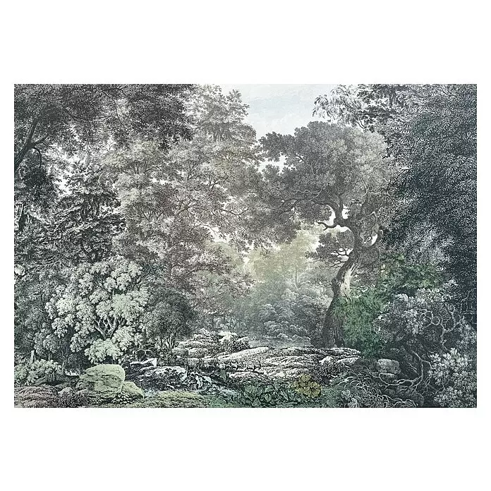 Komar Pure 2 Fototapete Wood Wide Web - B x H: 400 x 280 cm, Vlies - Detaillierte Waldradierung mit dichten Bäumen und Laub in monochromen Tönen, akzentuiert durch dezentes Grün und hellblauen Himmel.