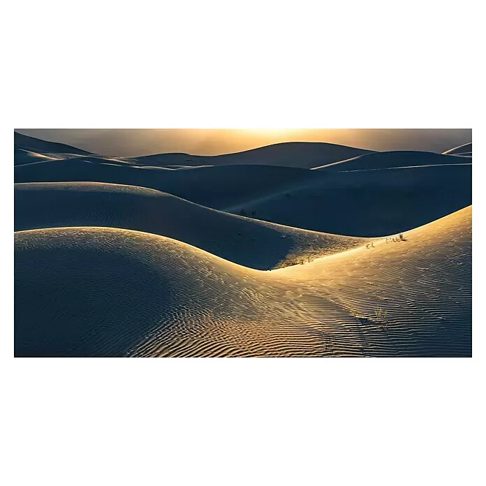 Komar Pure 2 Fototapete Body Lines - B x H: 500 x 250 cm, Vlies - Sonnenbeschienene Sanddünen mit Wellenmustern, die lange Schatten werfen. Goldenes Licht betont Kurven und Texturen.