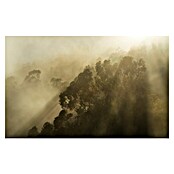 Komar Pure 2 Fototapete Foggy Sunshine (B x H: 400 x 250 cm, Vlies) | BAUHAUS