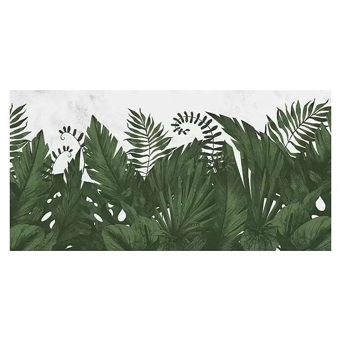 Komar Pure 2 Fototapete Botanic Harmony - B x H: 500 x 250 cm, Vlies - Botanische Illustration üppiger dunkelgrüner Tropenblätter, die ein dichtes Muster bilden.