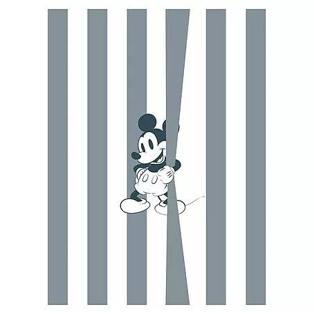 Komar  Fototapete Mickey Offbeat