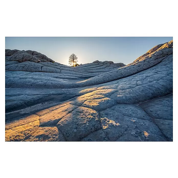 Komar Pure 2 Fototapete Elephant Skin - B x H: 400 x 250 cm, Vlies - Wellenförmige weiße Felsformationen im goldenen Sonnenuntergangslicht, mit einer kahlen Baumsilhouette.