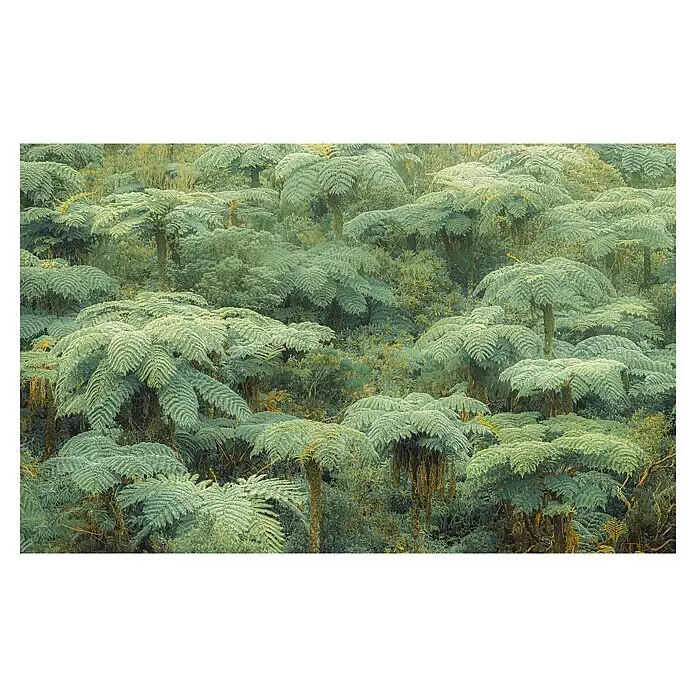 Komar Pure 2 Fototapete Jungle Lands - B x H: 400 x 250 cm, Vlies - Üppig grüne Baumfarne dominieren eine dichte Waldlandschaft.